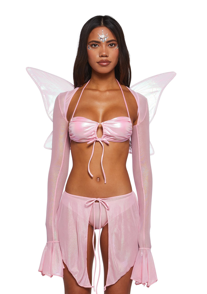 Fairy Nights Costume With Wings