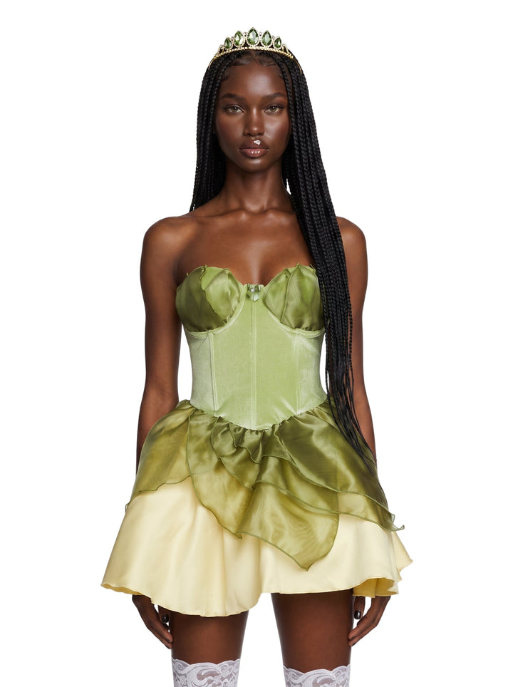Where's My Prince Princess Costume