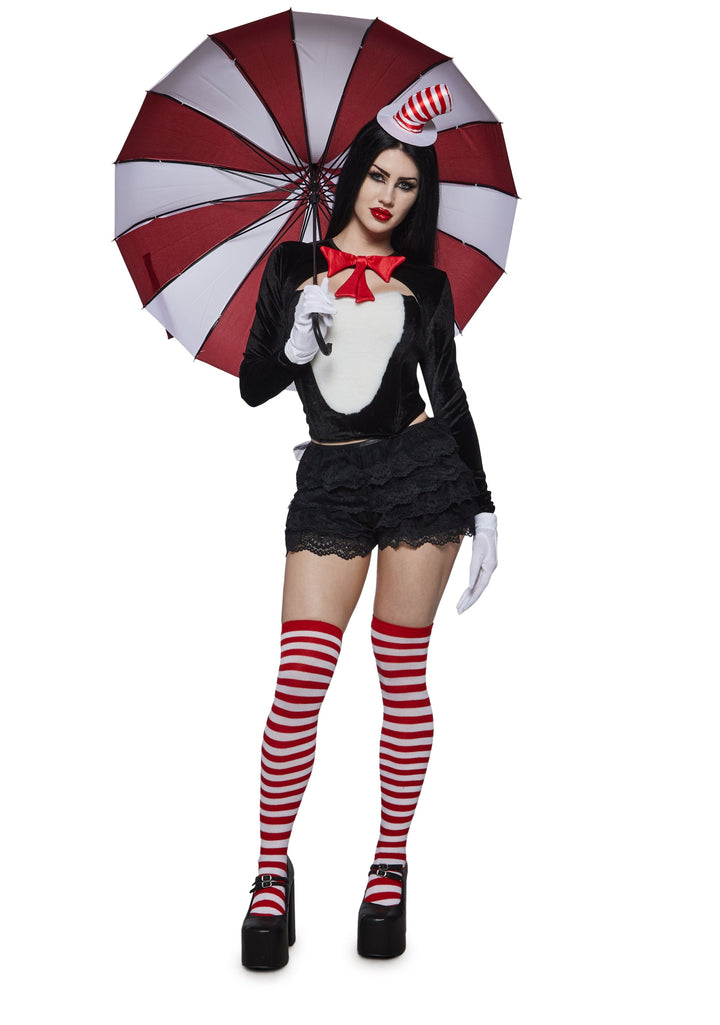 Striped Hat Cat Costume