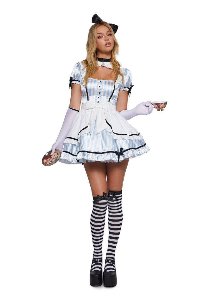 Wonderland Girl Costume