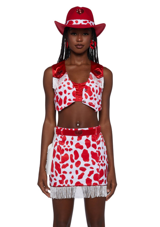 Country Darling Costume