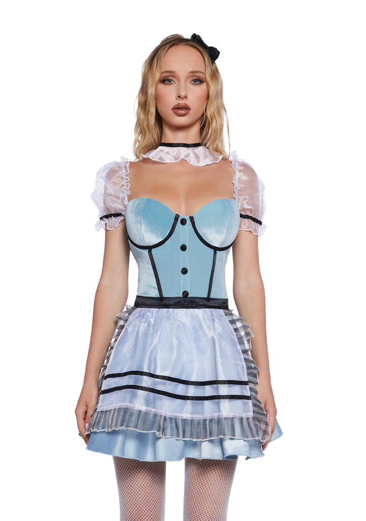 Looking Glass Girl Costume